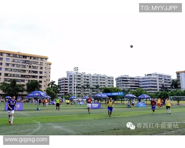 深圳与重庆篮球队耐力对决赛后分析与反思